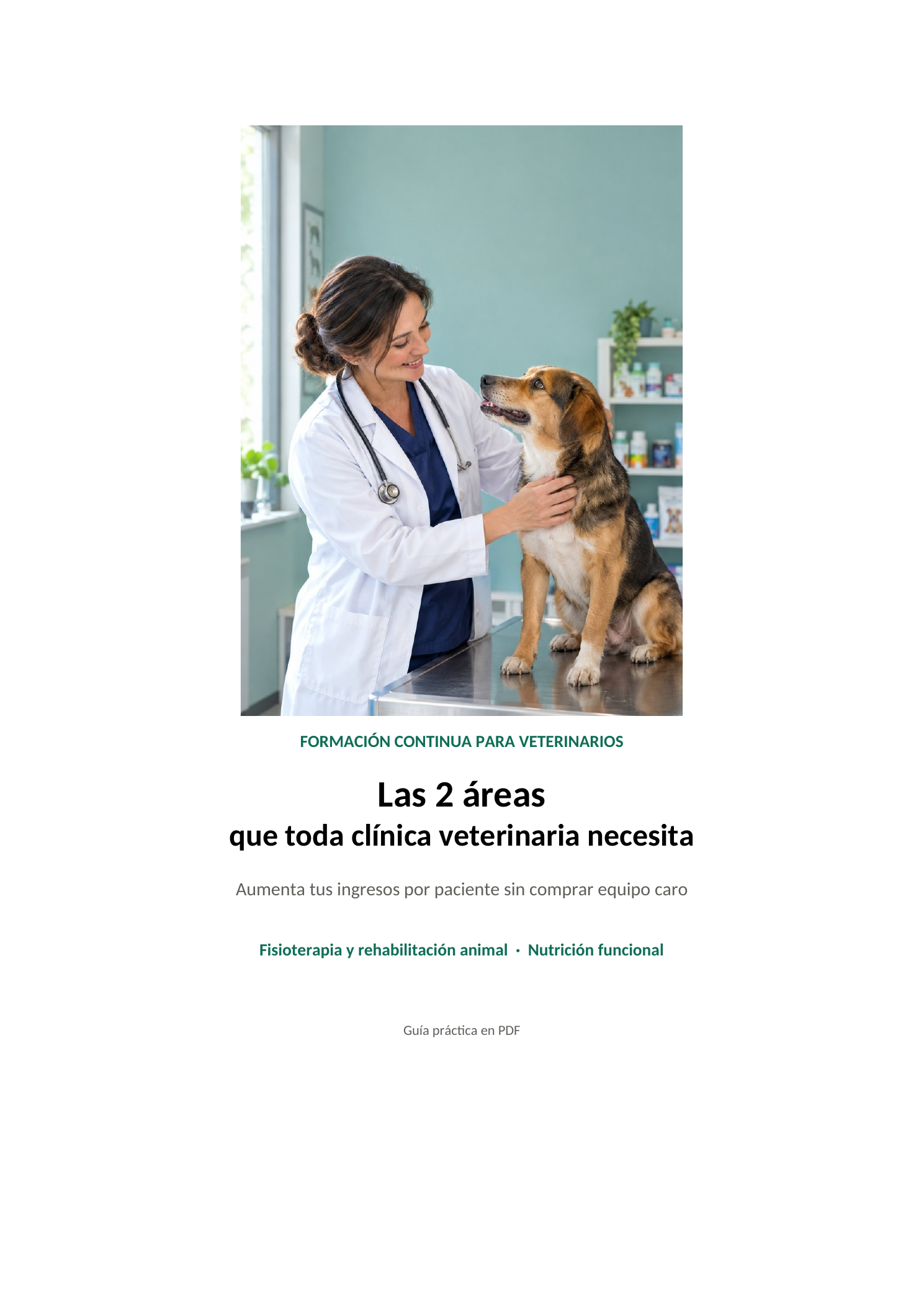 Las 2 áreas que toda clínica veterinaria necesita
